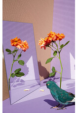 Kristin Schnell: Of Cages and Feathers