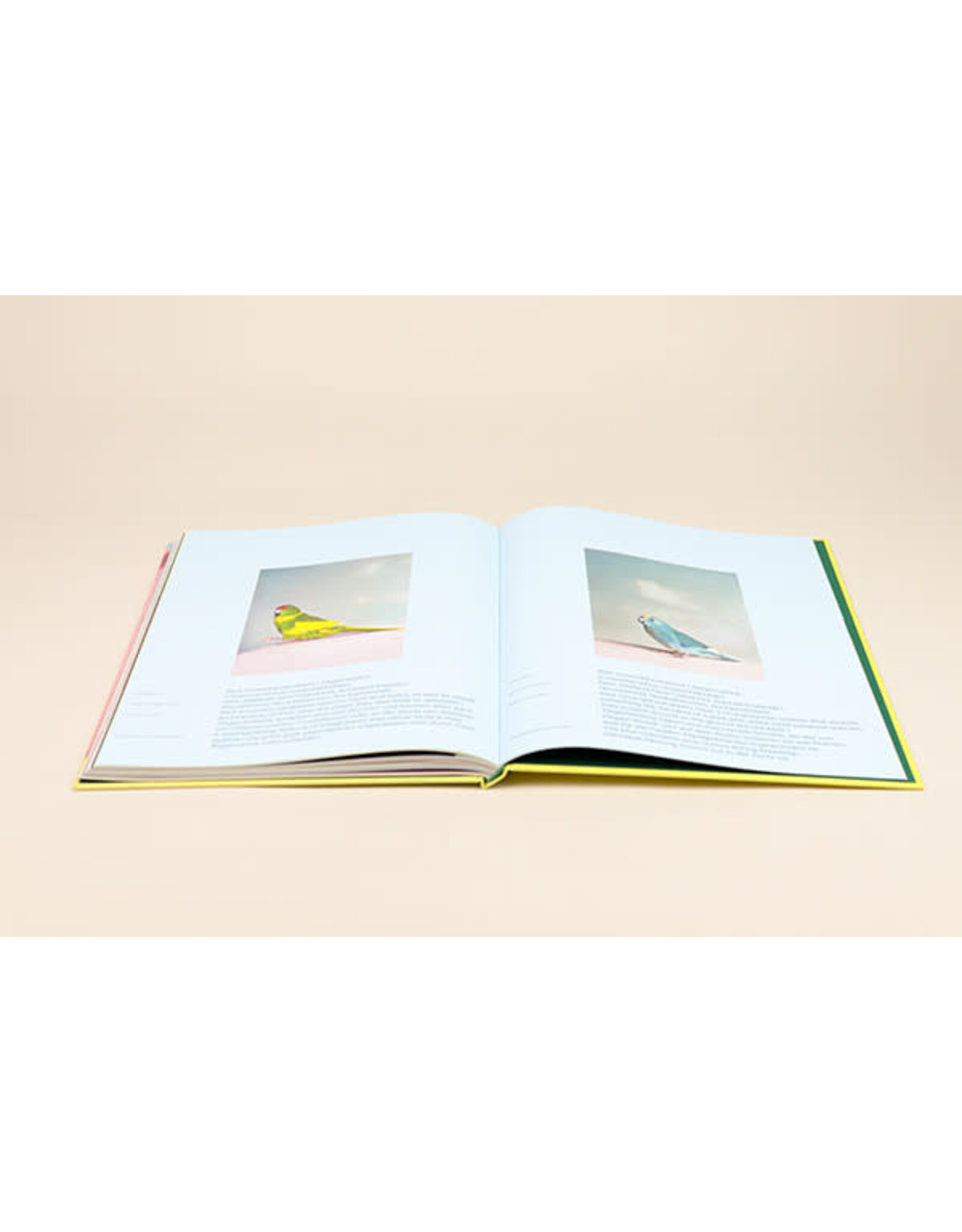 Kristin Schnell: Of Cages and Feathers