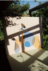 Kristin Schnell: Of Cages and Feathers