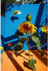 Kristin Schnell: Of Cages and Feathers