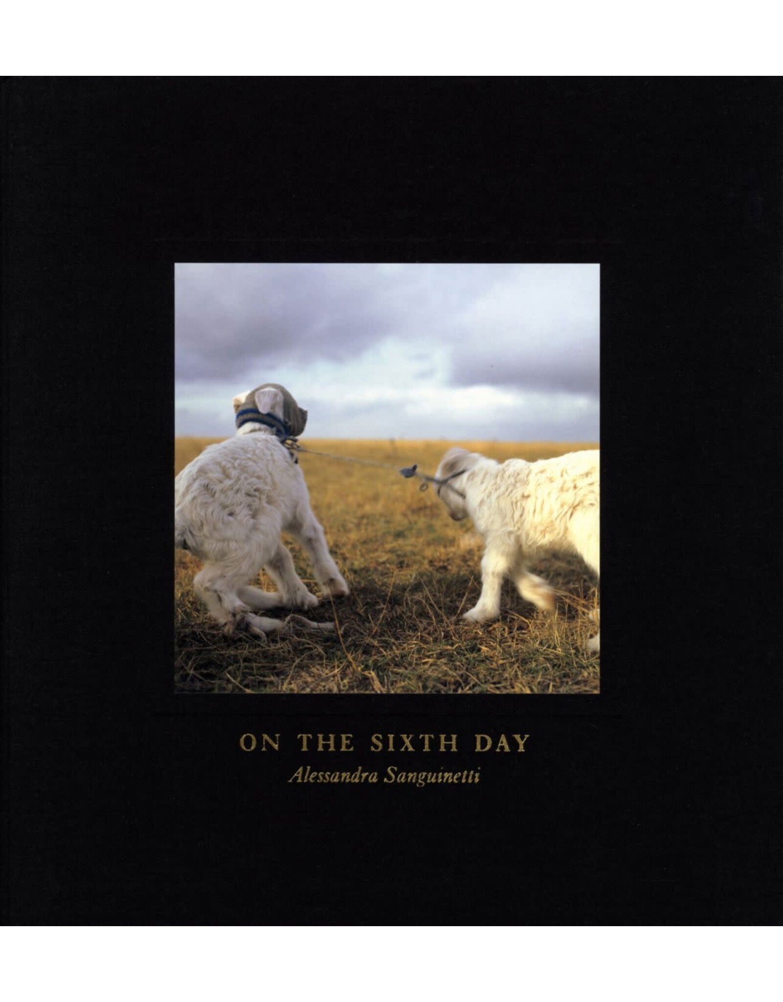 Alessandra Sanguinetti: On the Sixth Day (First Edition) (Used)