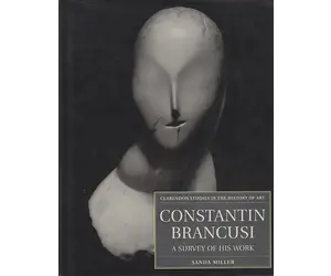 Constantin Brancusi: A Survey of His Work (Used) - International