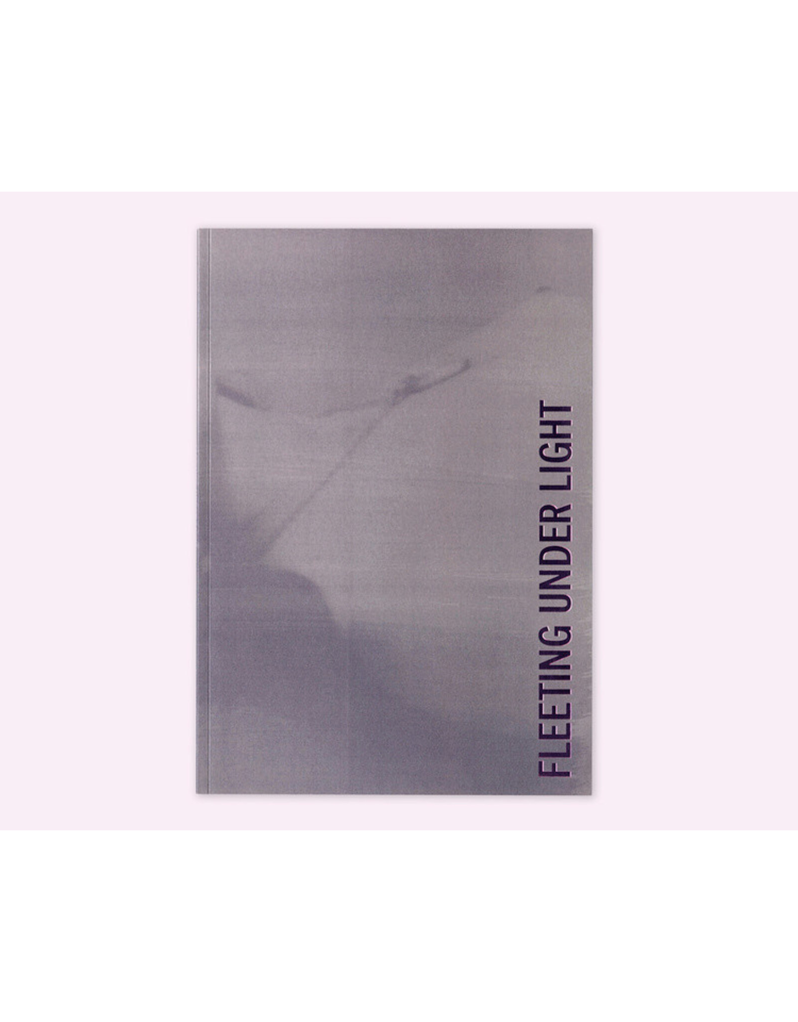 Seaton Street Press Diana Guerra: Fleeting Under Light