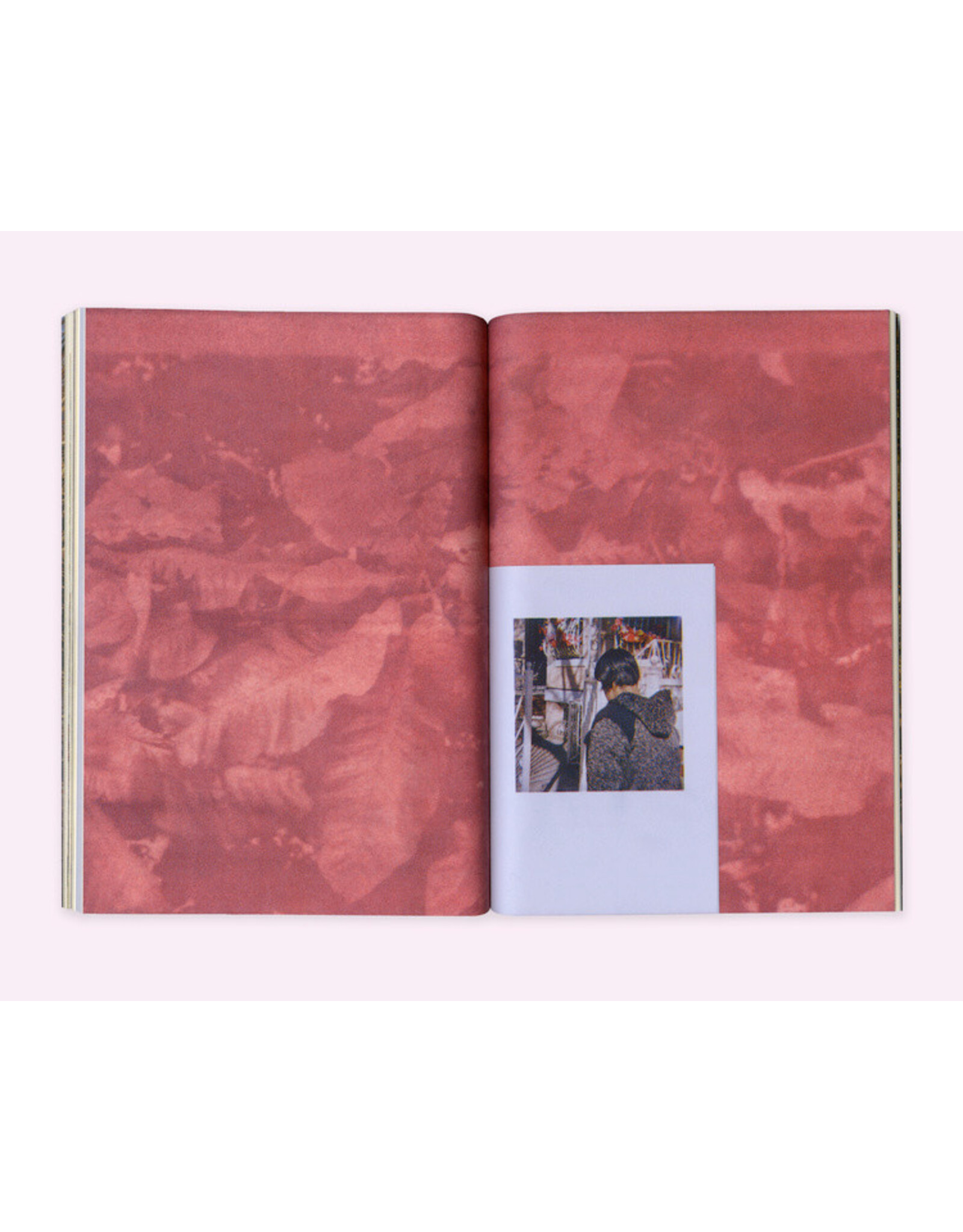 Seaton Street Press Diana Guerra: Fleeting Under Light