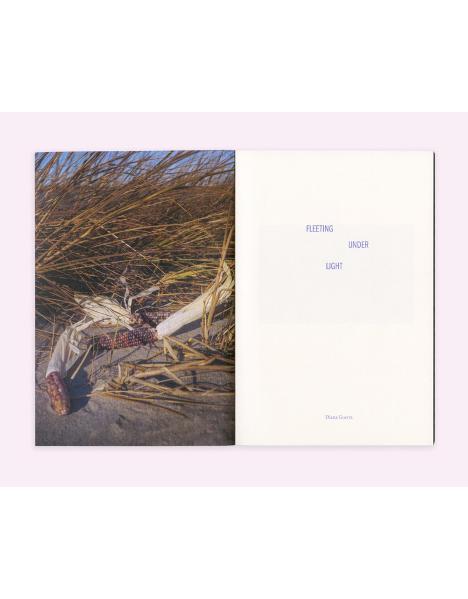 Seaton Street Press Diana Guerra: Fleeting Under Light