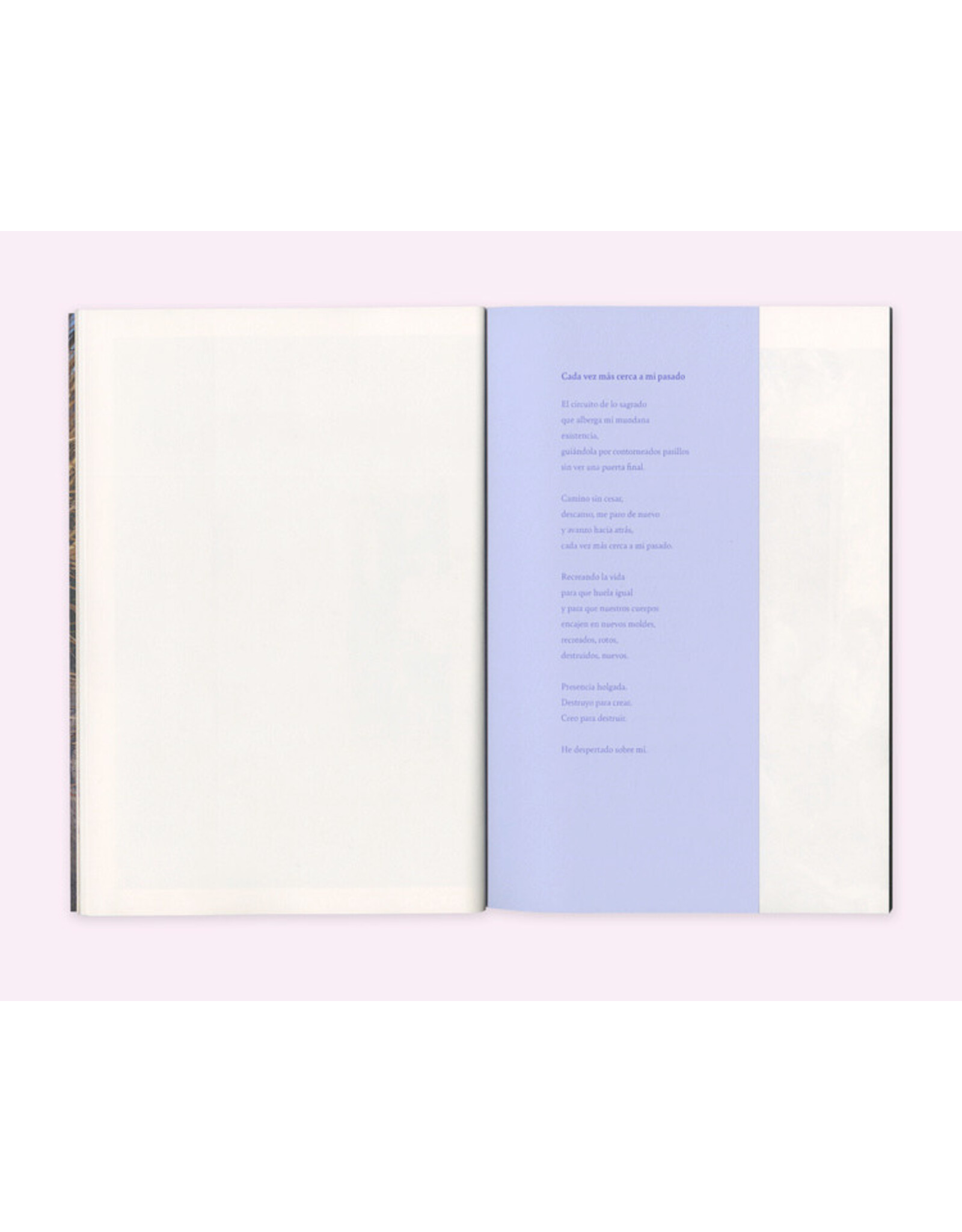 Seaton Street Press Diana Guerra: Fleeting Under Light
