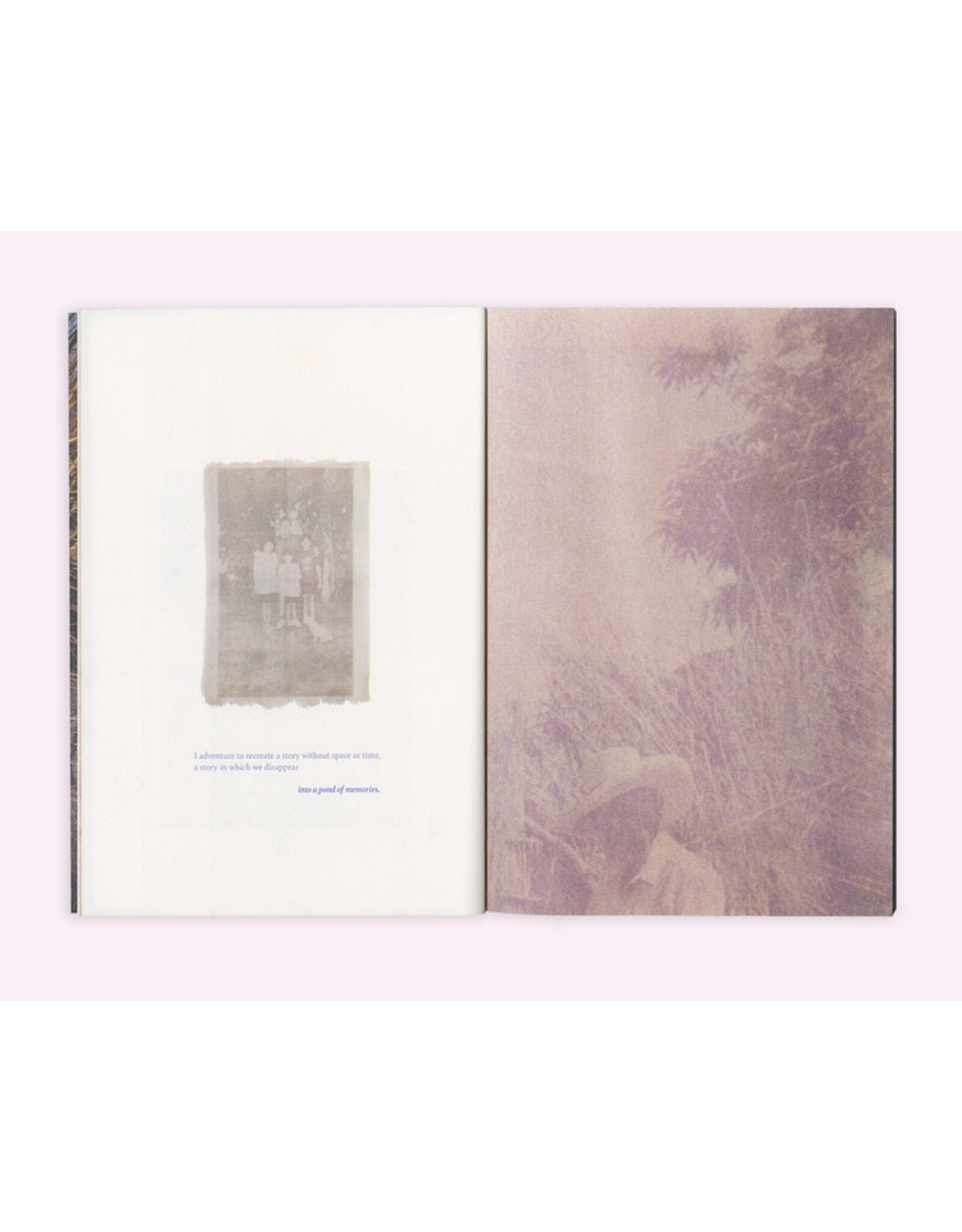 Seaton Street Press Diana Guerra: Fleeting Under Light