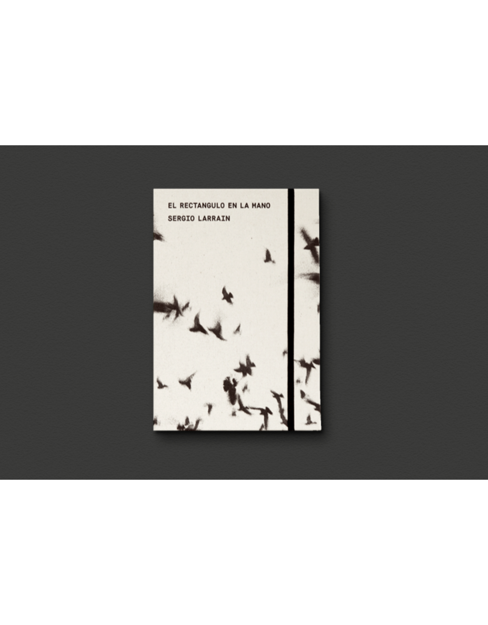 Sergio Larrain & Agnès Sire: El Rectangulo en la mano (Spanish/Portuguese Version)
