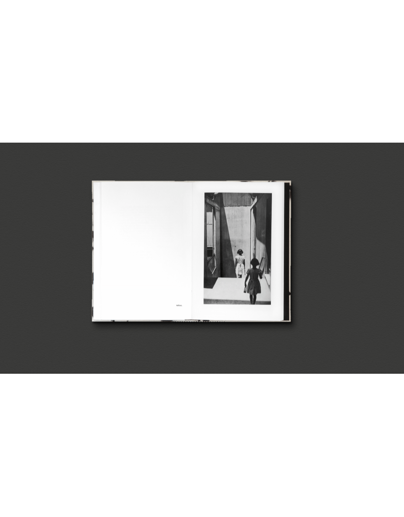 Sergio Larrain & Agnès Sire: El Rectangulo en la mano (Spanish/Portuguese Version)