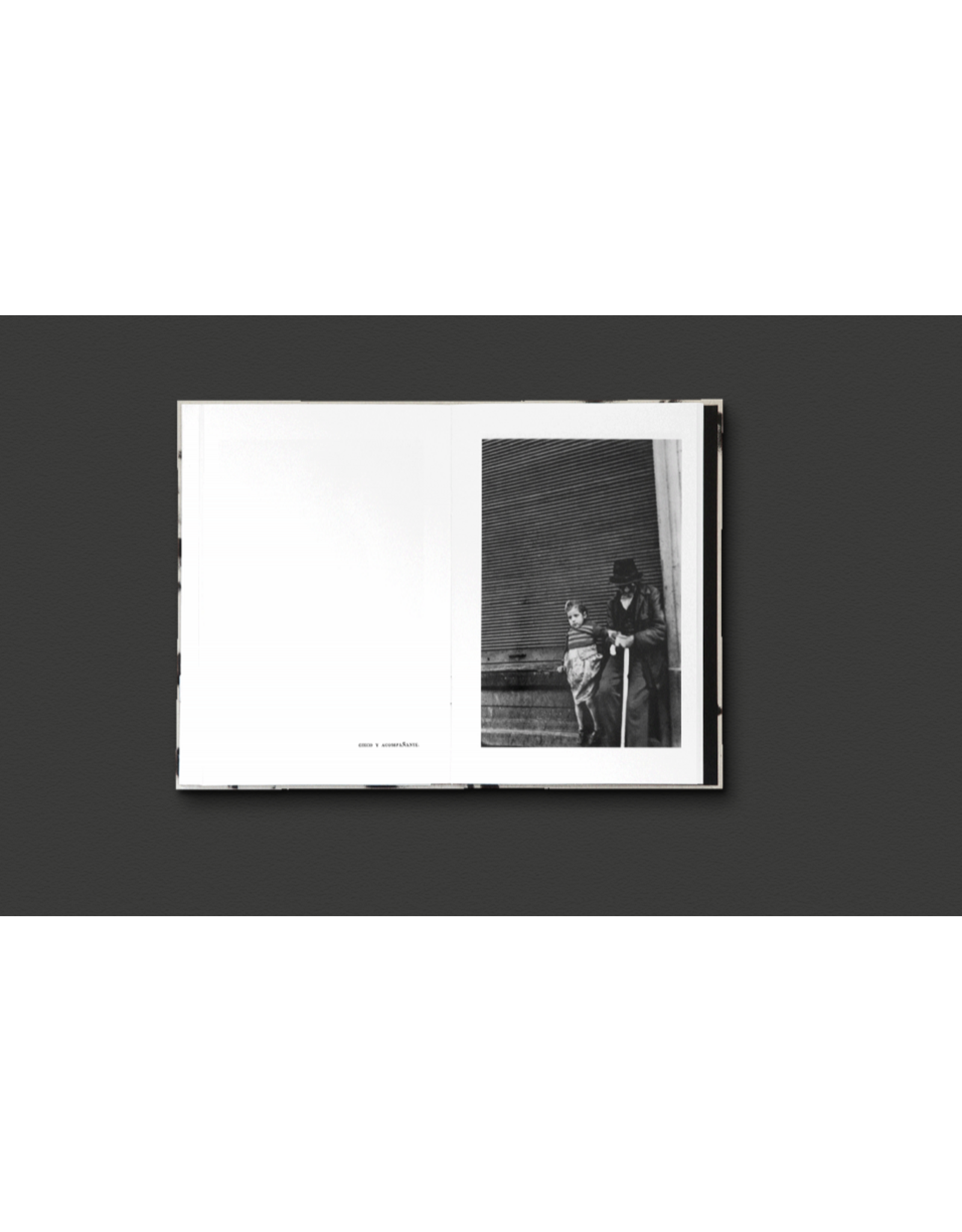 Sergio Larrain & Agnès Sire: El Rectangulo en la mano (Spanish/Portuguese Version)