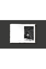 Sergio Larrain & Agnès Sire: El Rectangulo en la mano (Spanish/Portuguese Version)