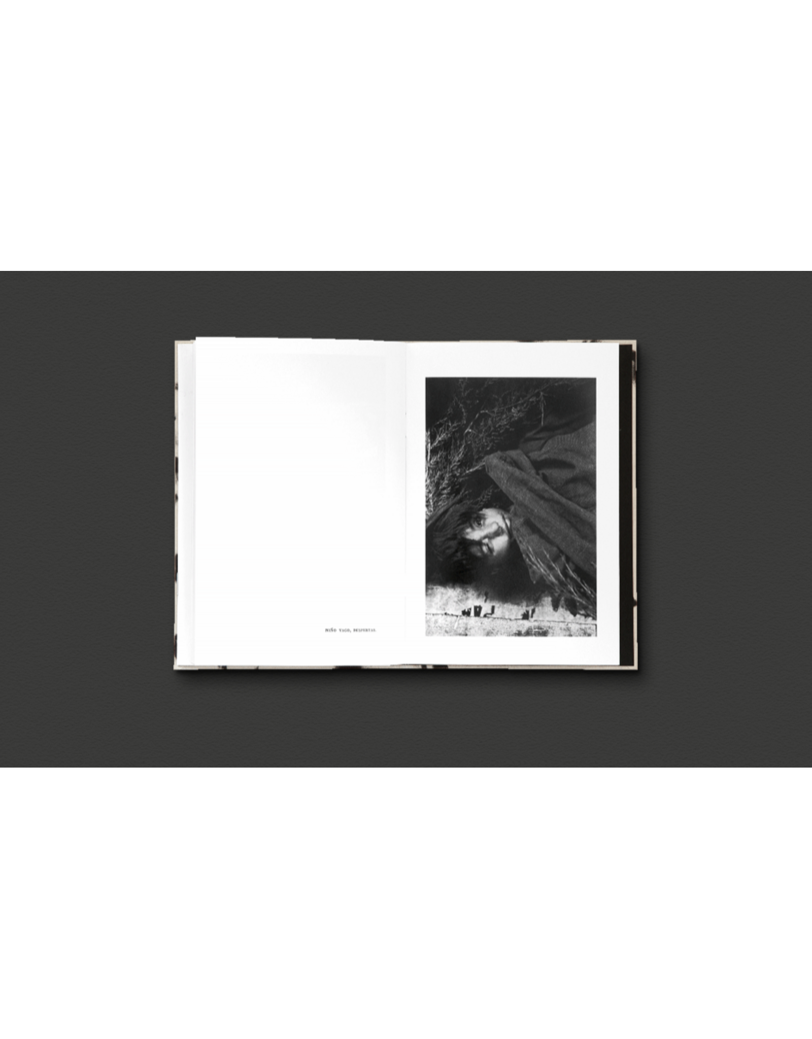 Sergio Larrain & Agnès Sire: El Rectangulo en la mano (Spanish/Portuguese Version)