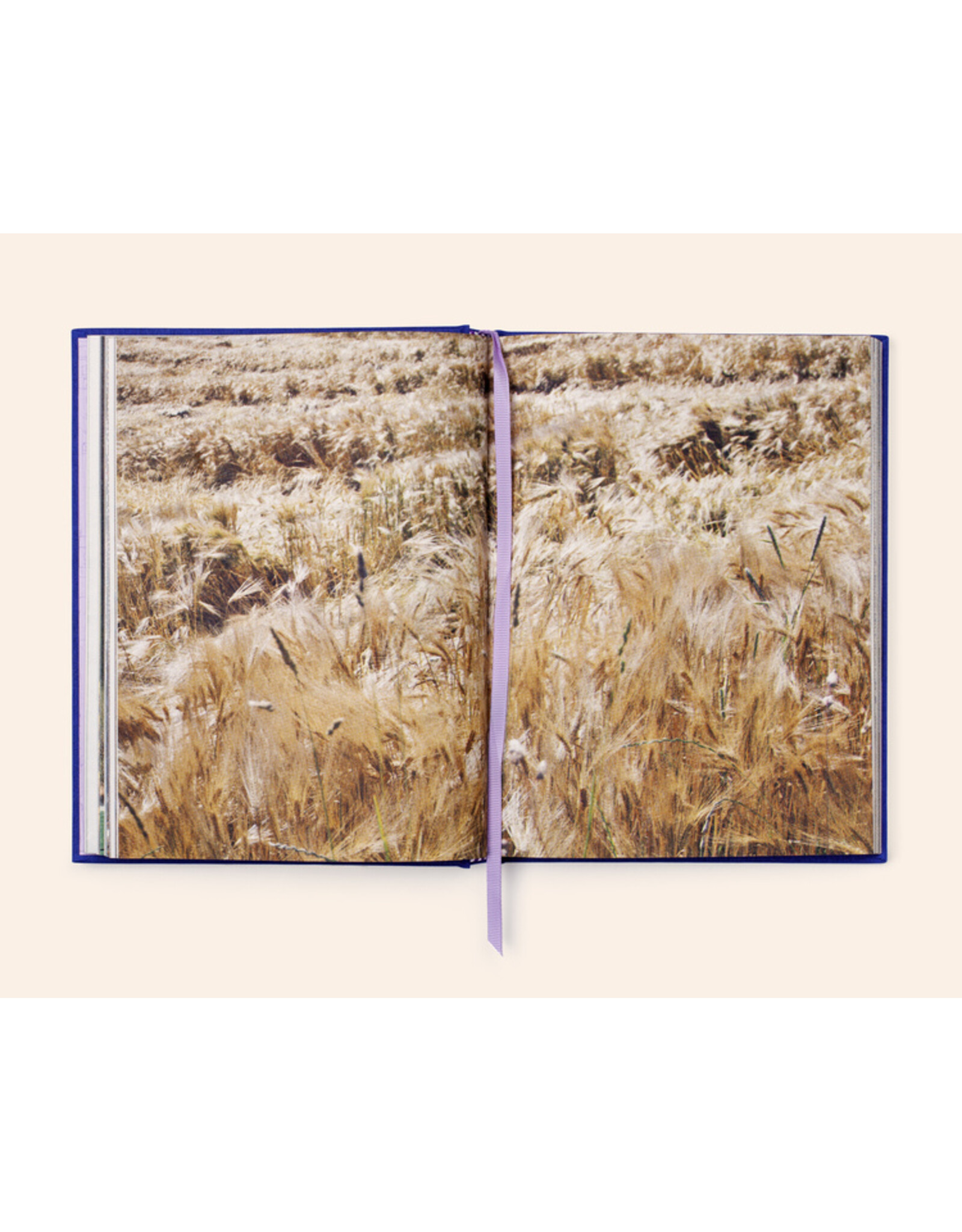 Magali Duzant: La vie is like that
