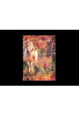 Manuel Castillo: La memoria fracturada