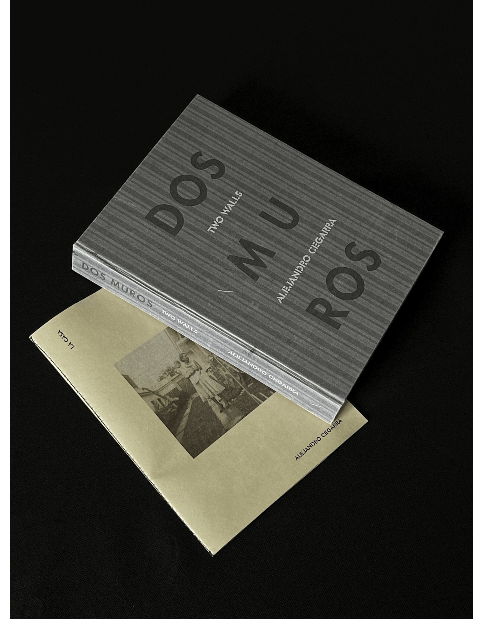 Alejandro Cegarra: Dos Muros | Two Walls