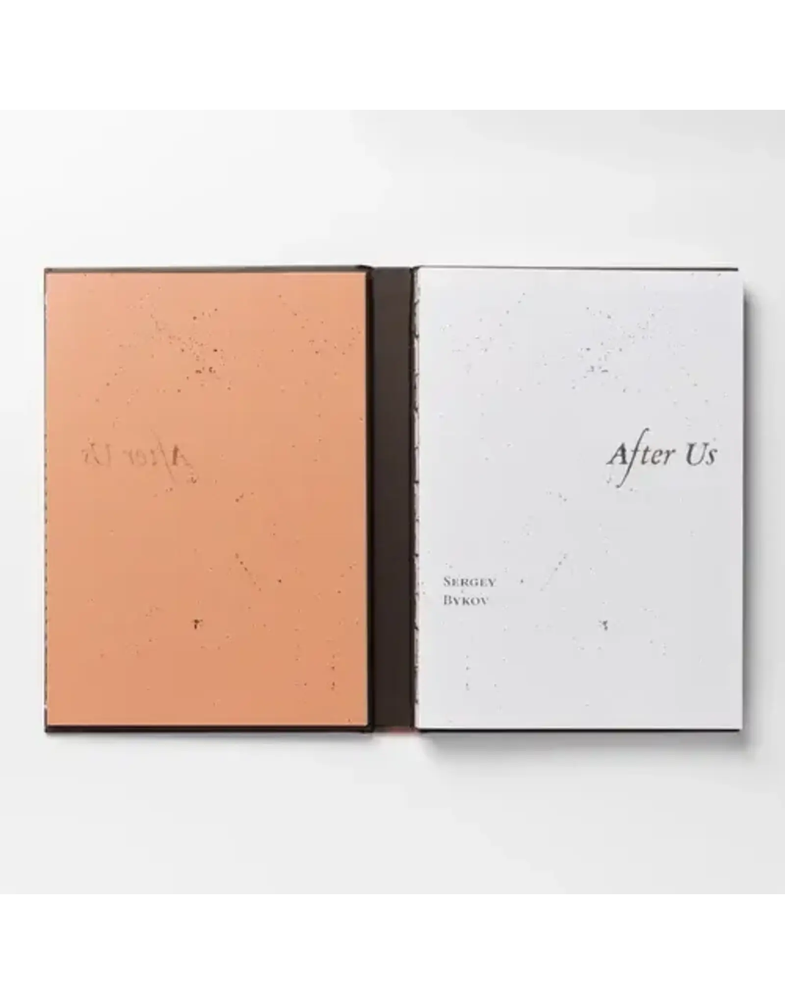 Sergey Bykov: After Us