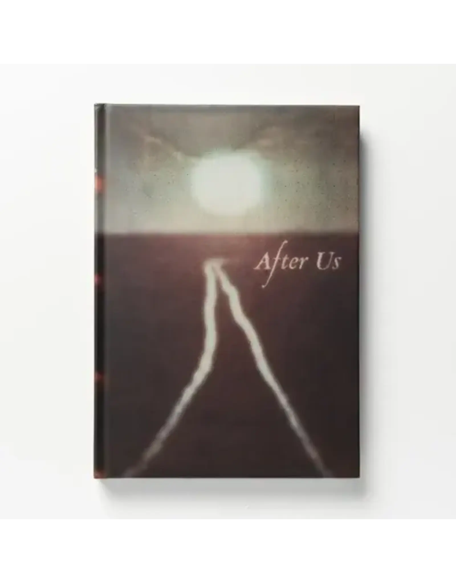 Sergey Bykov: After Us