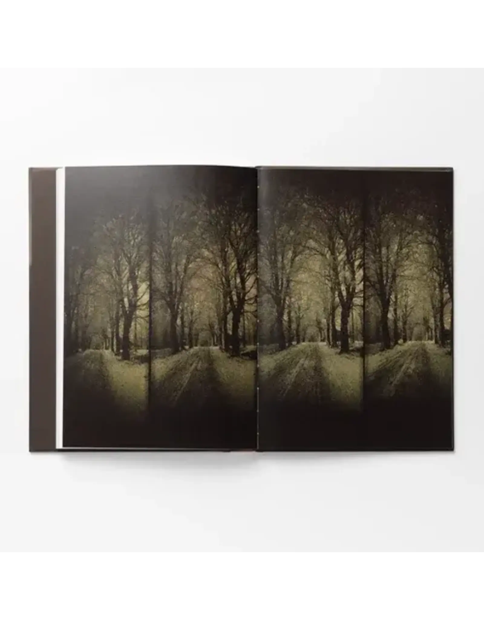 Sergey Bykov: After Us