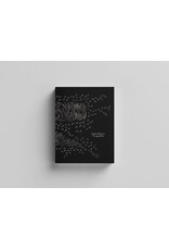 Emilio Nasser: Shipwreck Of Dreams