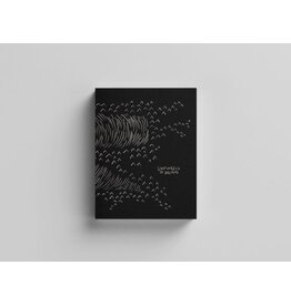 Emilio Nasser: Shipwreck Of Dreams