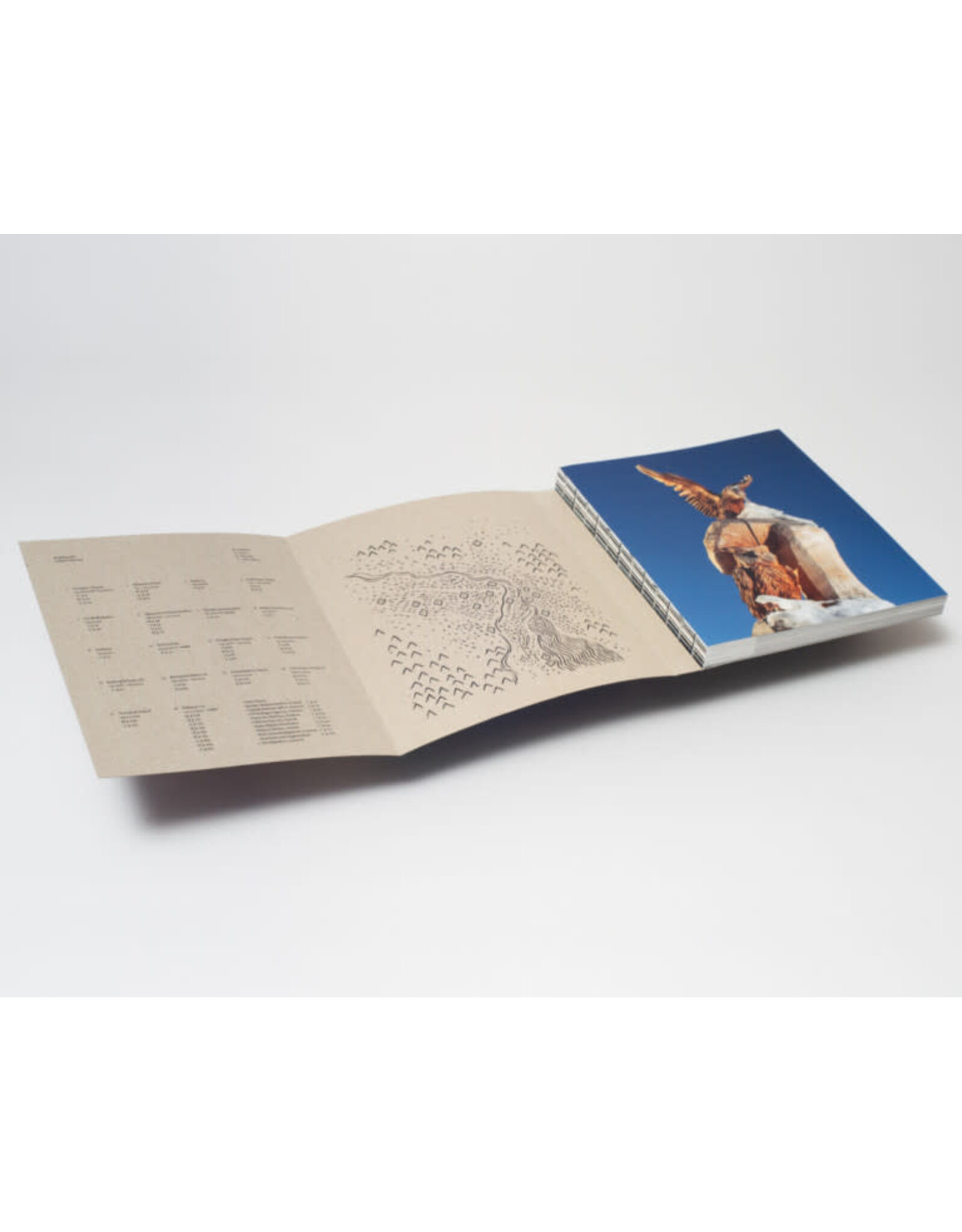 Emilio Nasser: Shipwreck Of Dreams