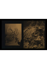 Grade Solomon: Twist