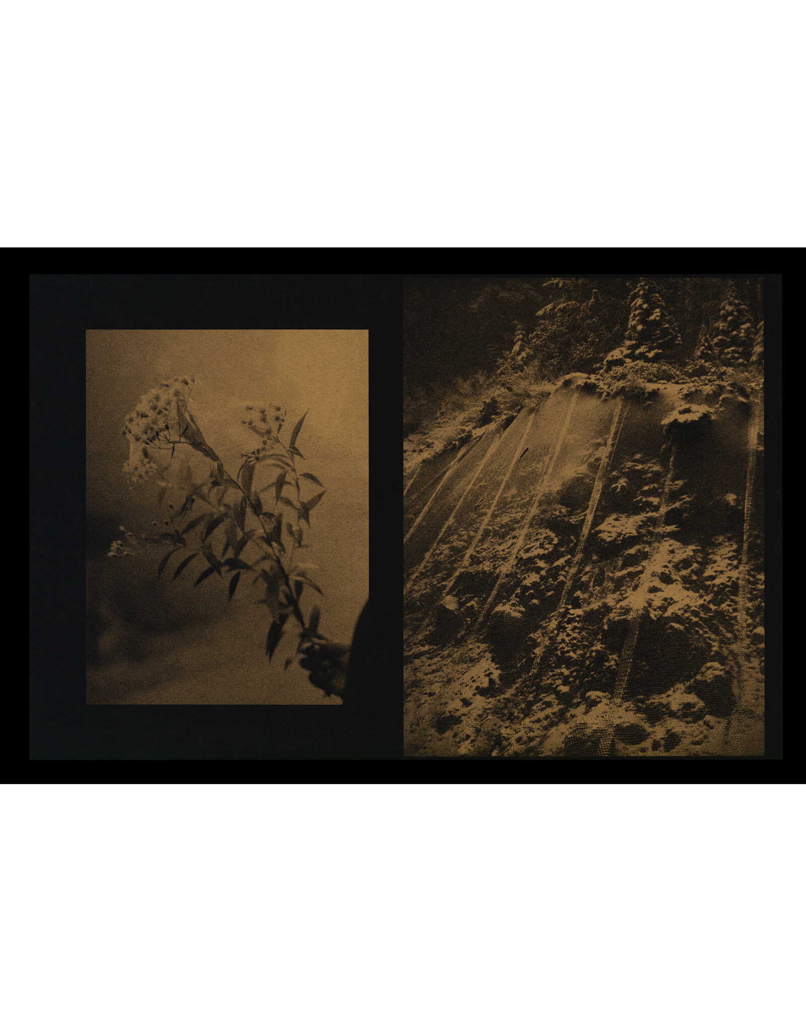 Grade Solomon: Twist