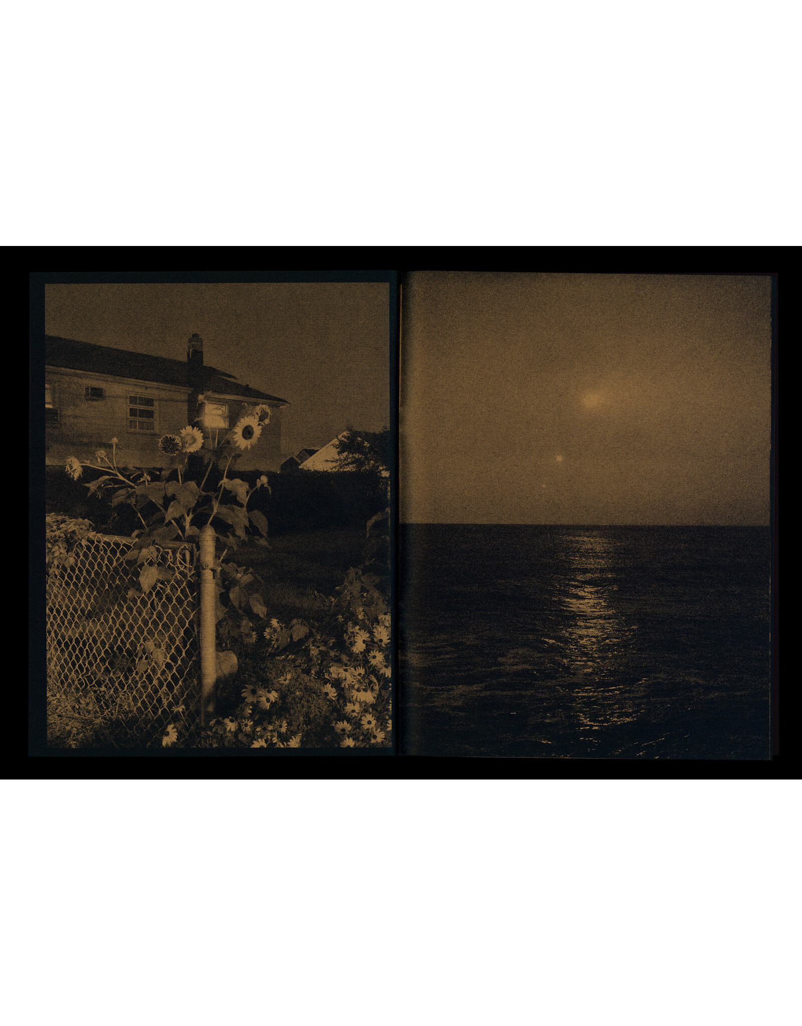 Grade Solomon: Twist