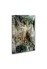 SPBH Mari Katayama: Synthesis (signed)