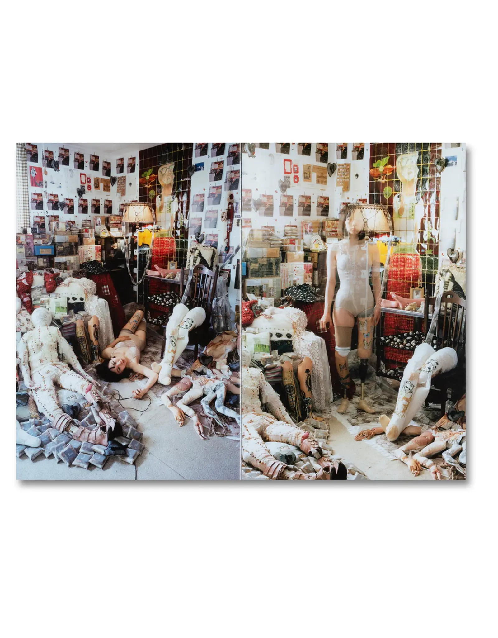 SPBH Mari Katayama: Synthesis (signed)