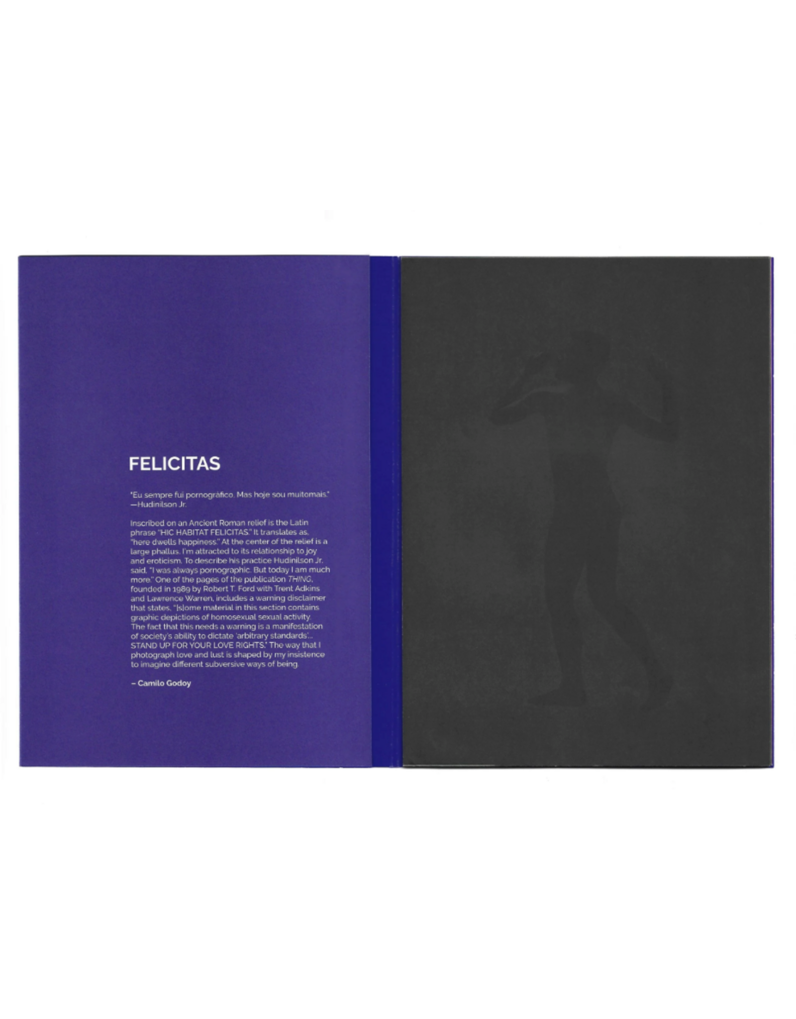 Camilo Godoy: FELICITAS