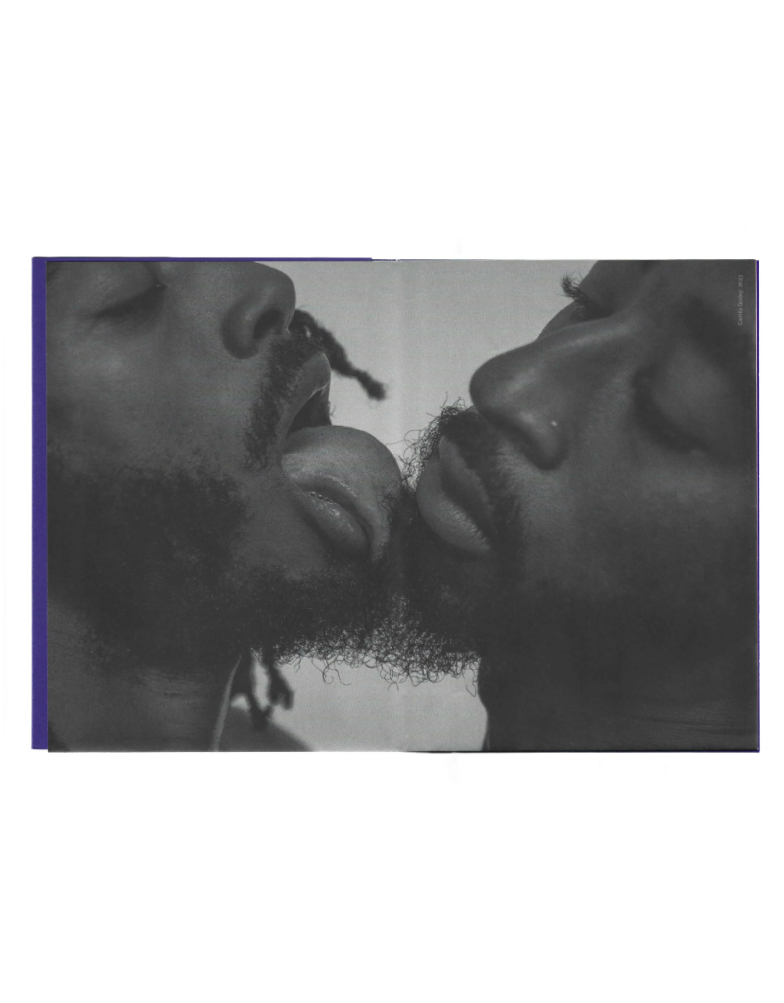 Camilo Godoy: FELICITAS