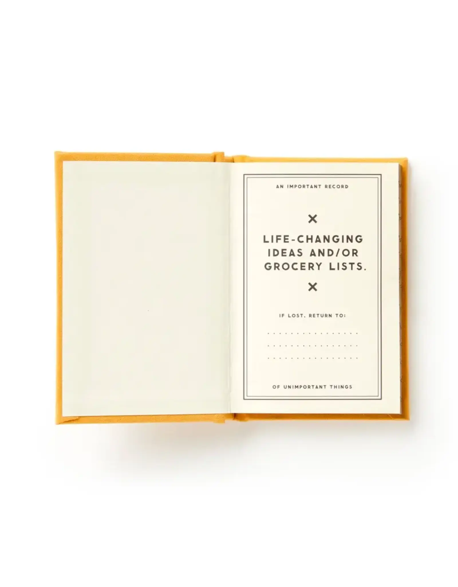 chronicle books A Tiny Diary For Tiny Thoughts