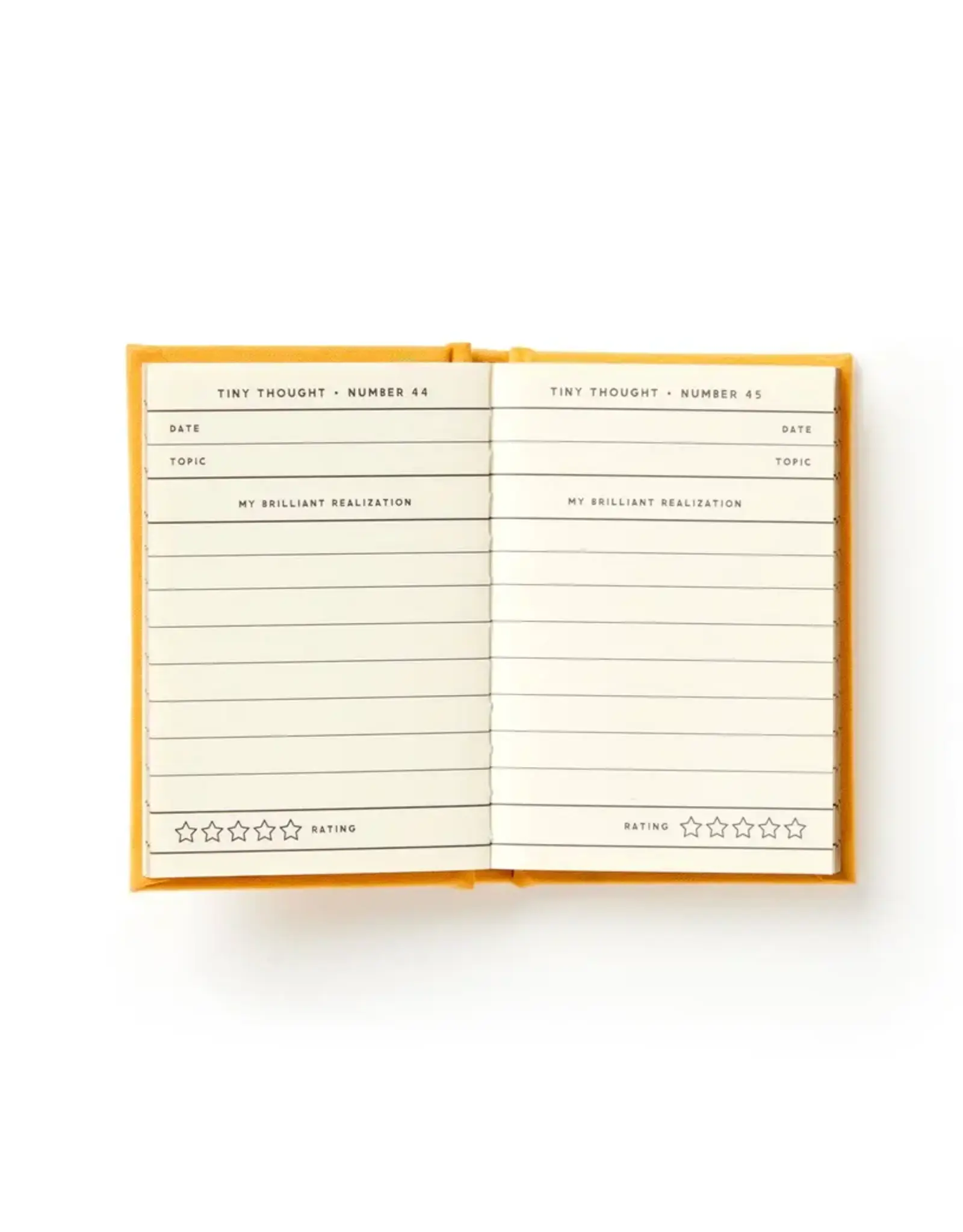 A Tiny Diary For Tiny Thoughts