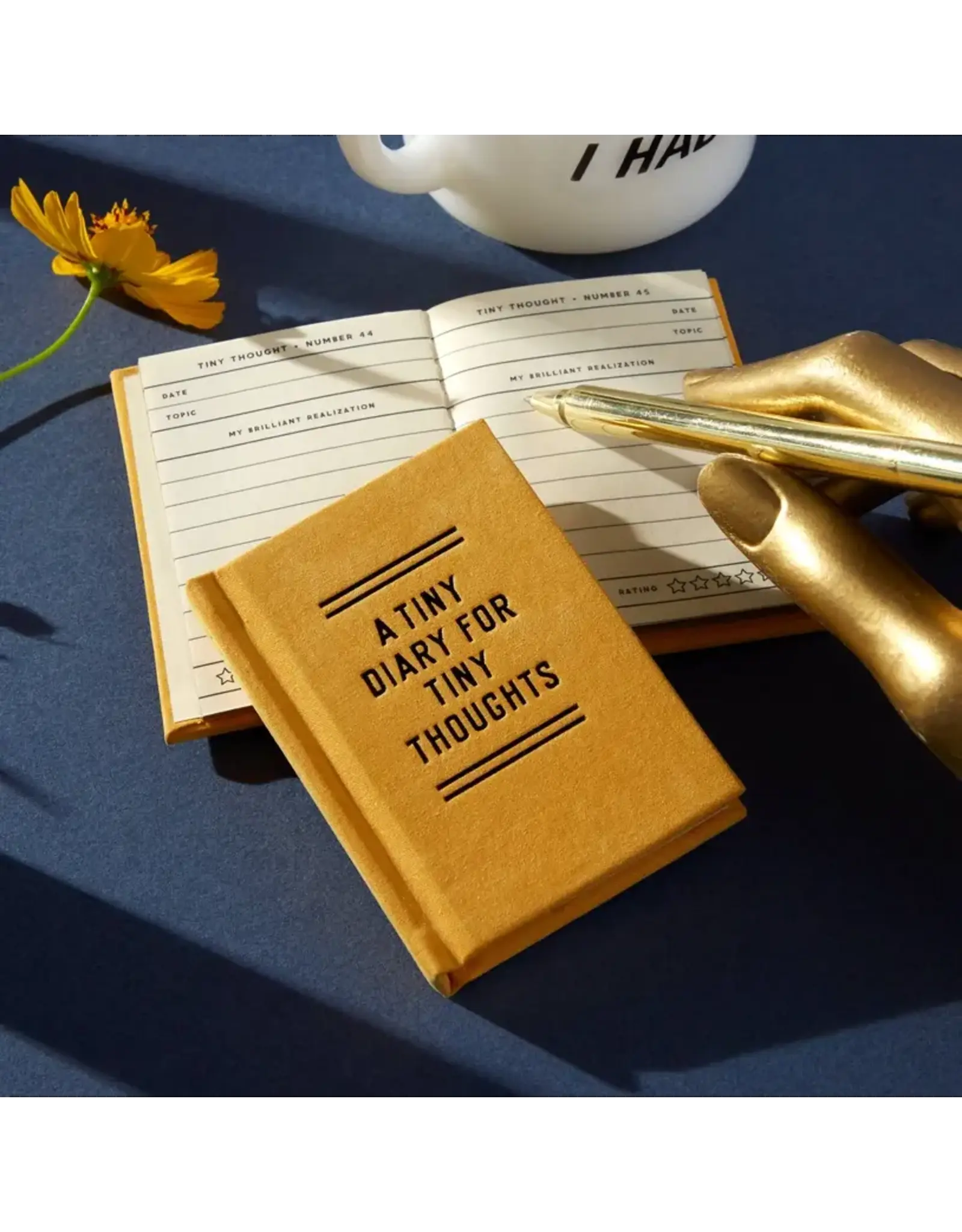 chronicle books A Tiny Diary For Tiny Thoughts