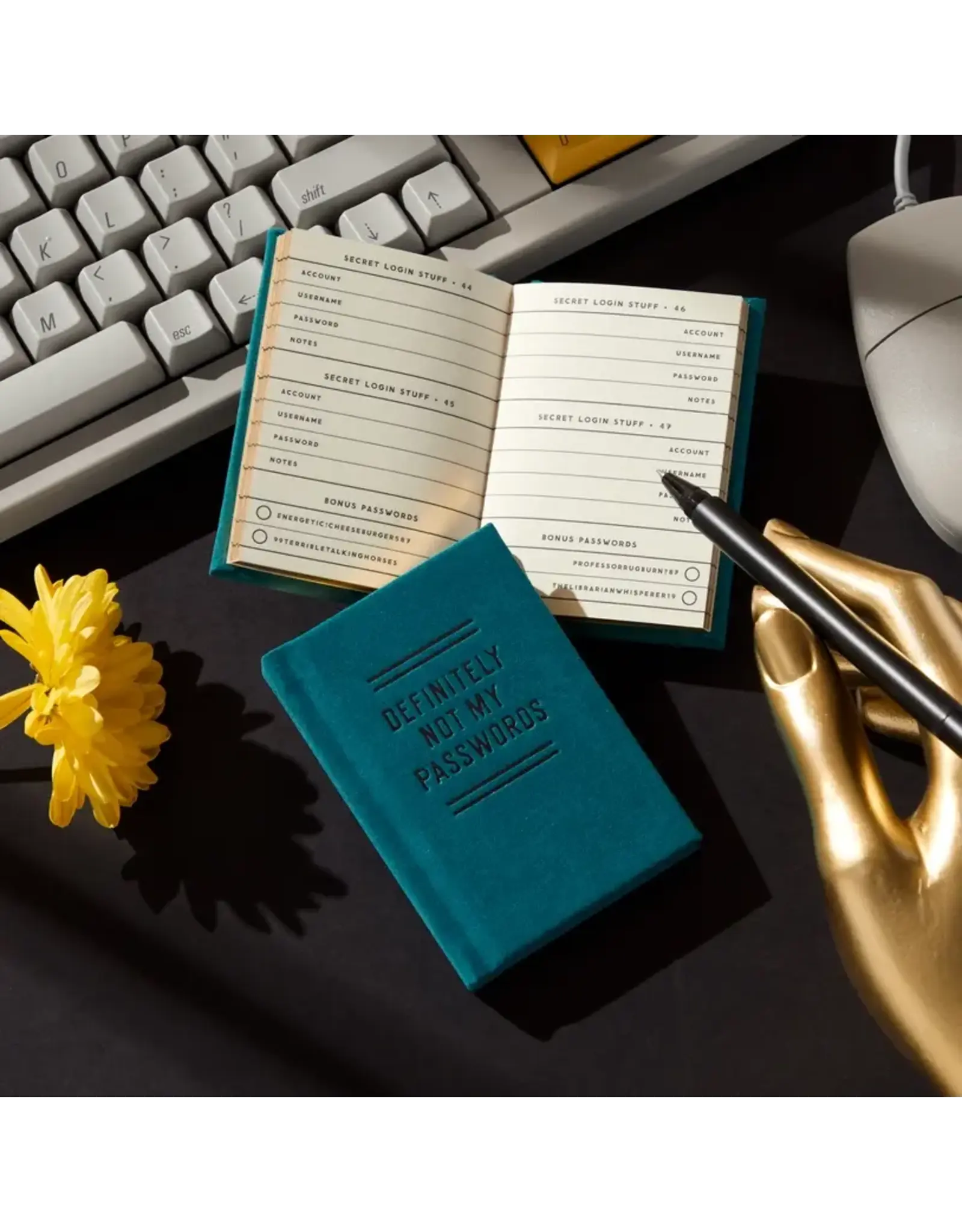 Definitely Not My Passwords - Password Diary