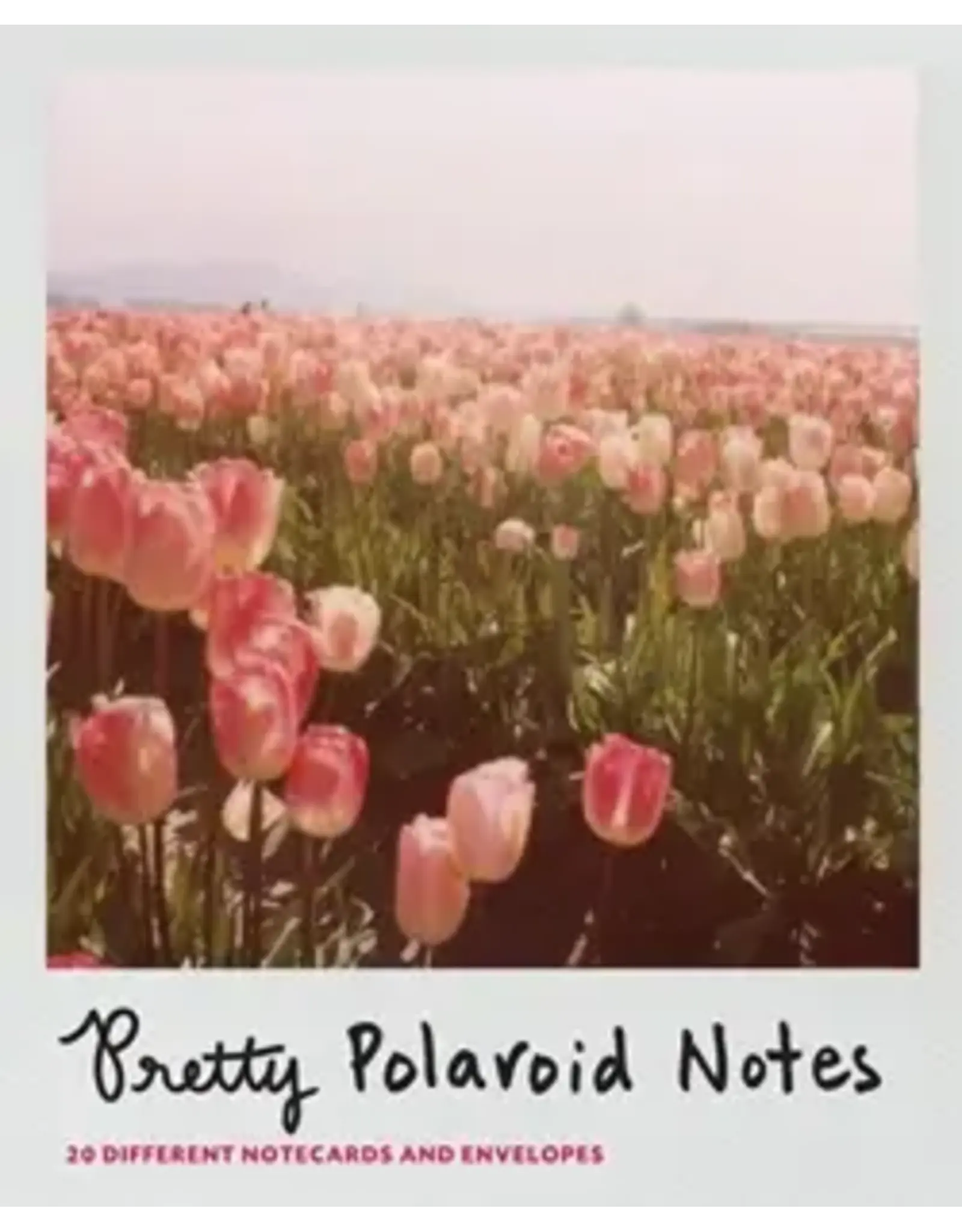 chronicle books Pretty Polaroid Notes
