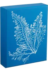 chronicle books Sunprint Notecards
