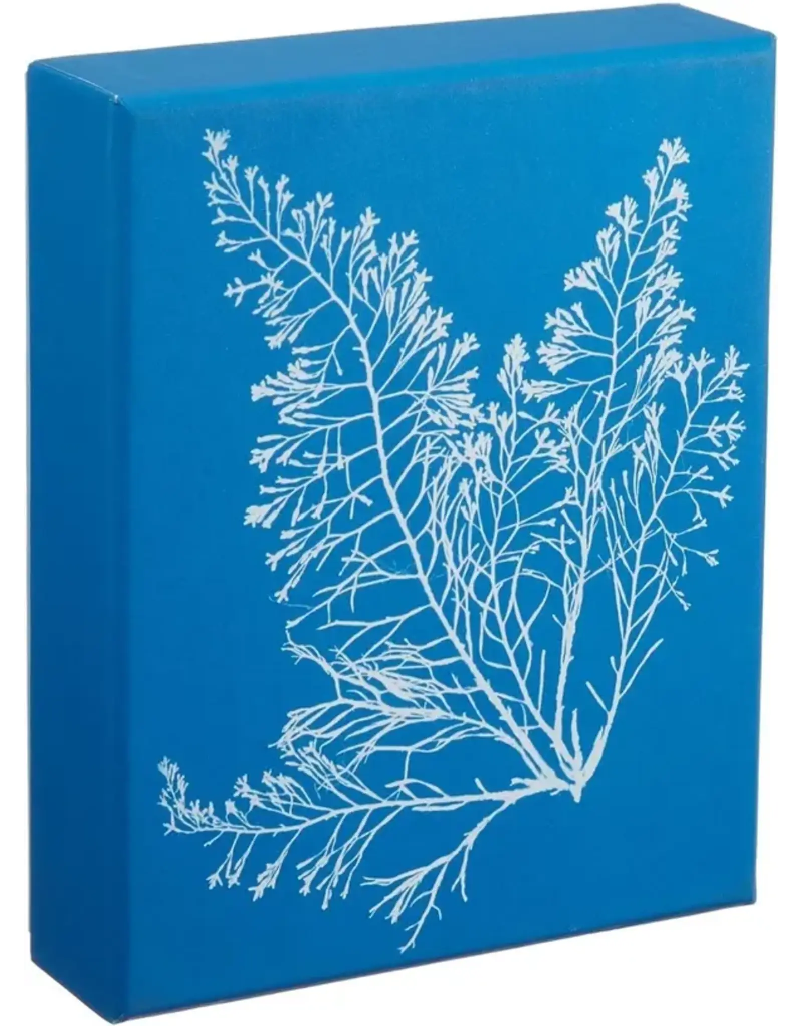chronicle books Sunprint Notecards