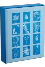 chronicle books Sunprint Notecards