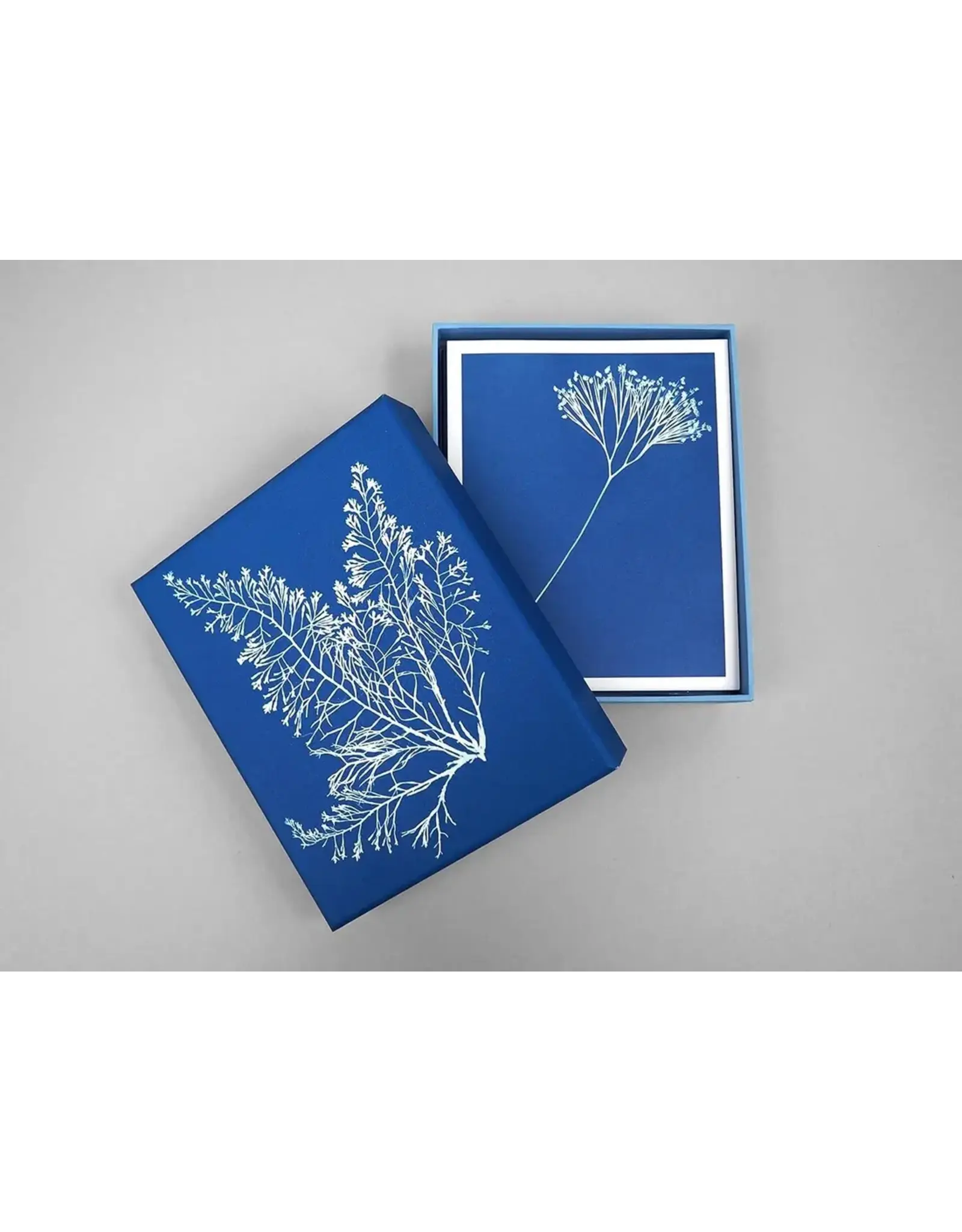 chronicle books Sunprint Notecards