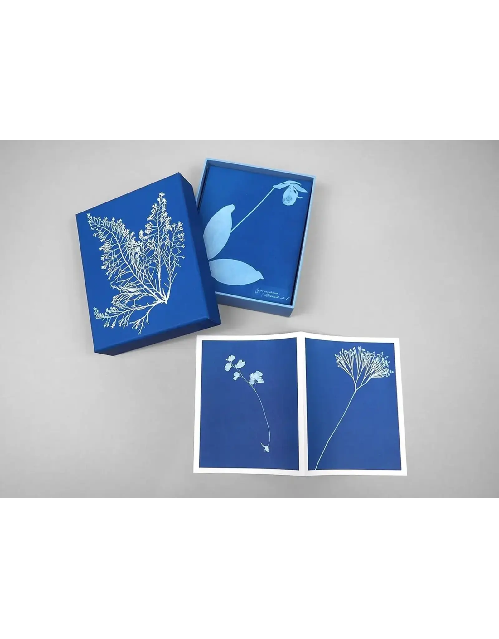 chronicle books Sunprint Notecards