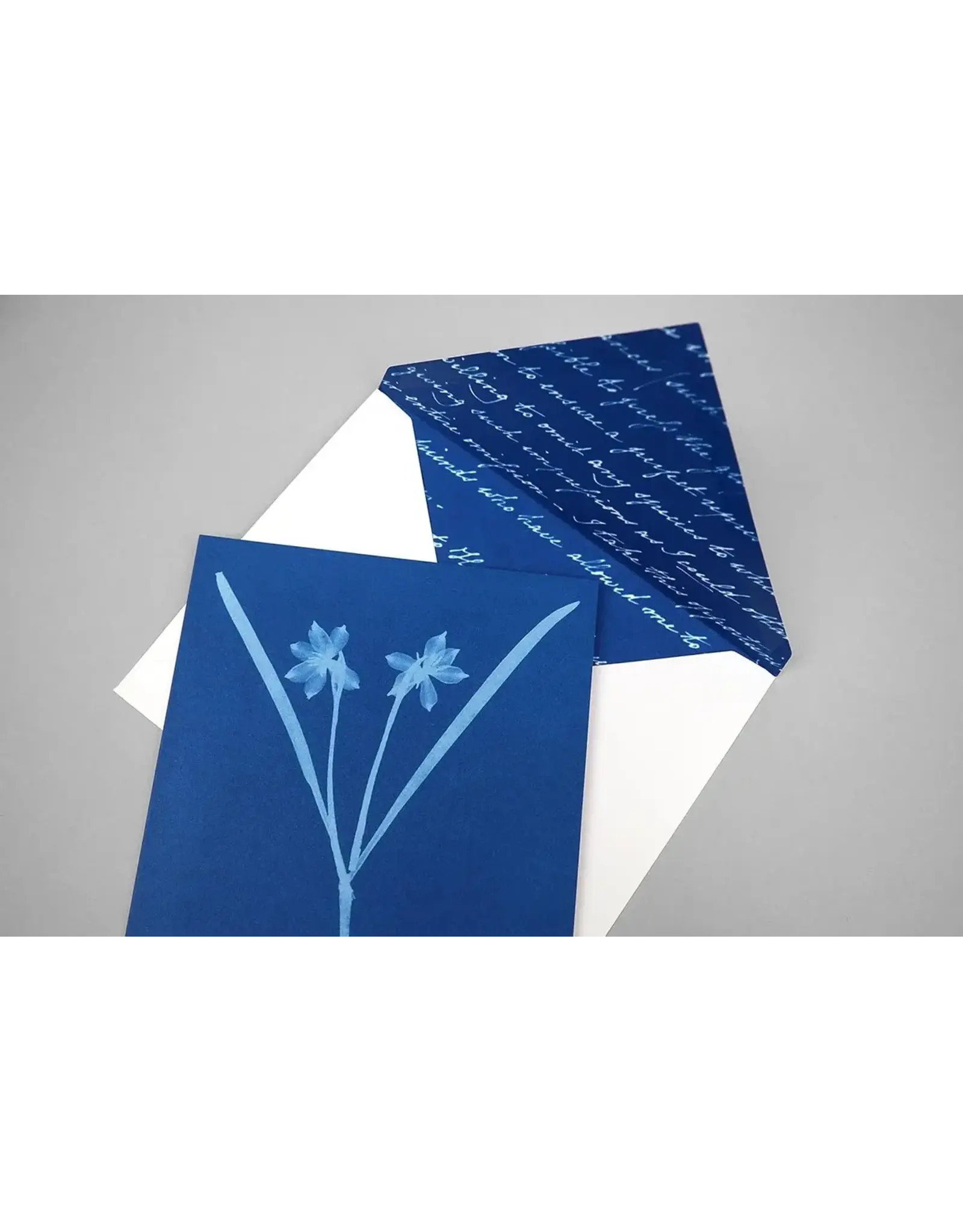chronicle books Sunprint Notecards