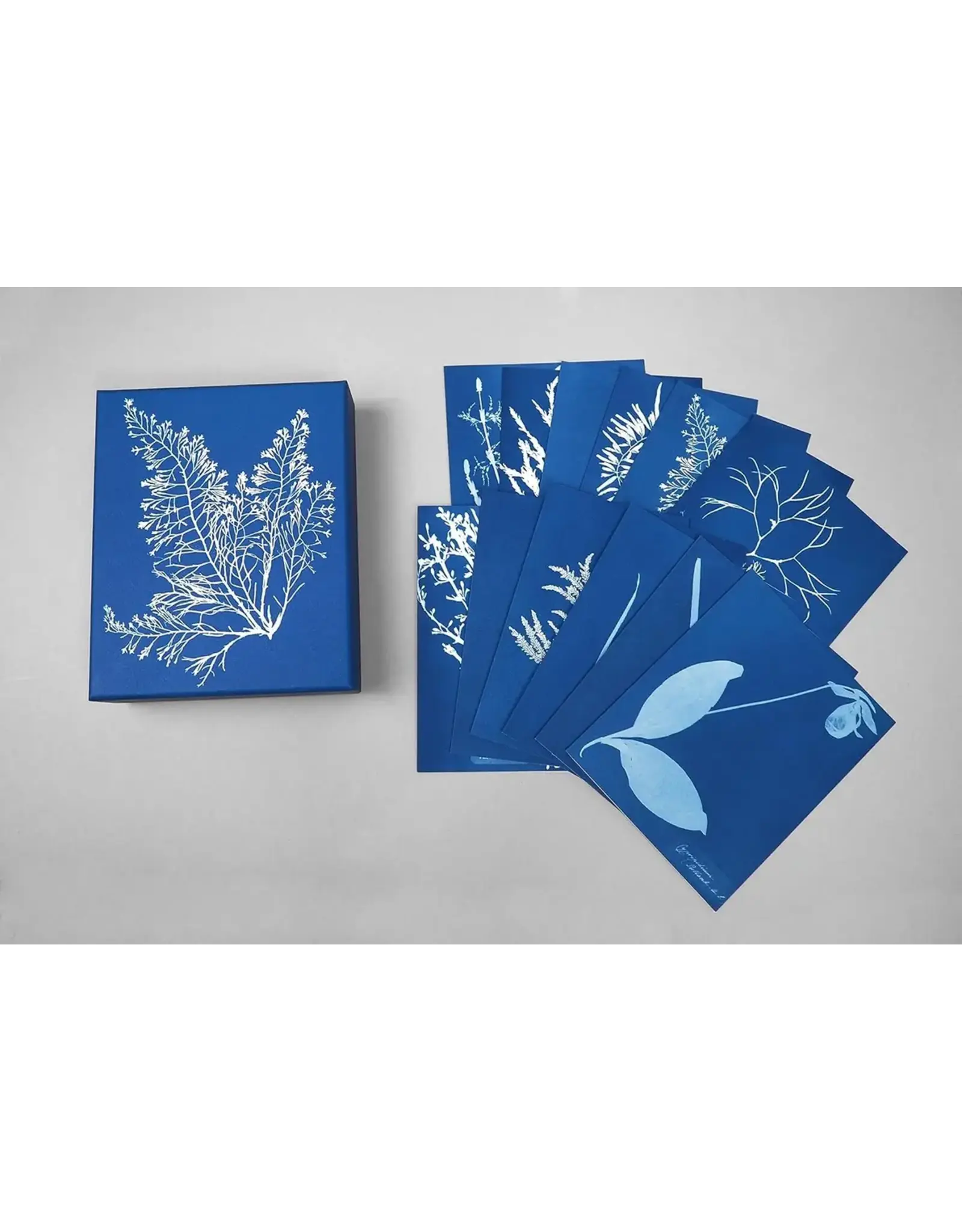 chronicle books Sunprint Notecards