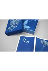 chronicle books Sunprint Notecards