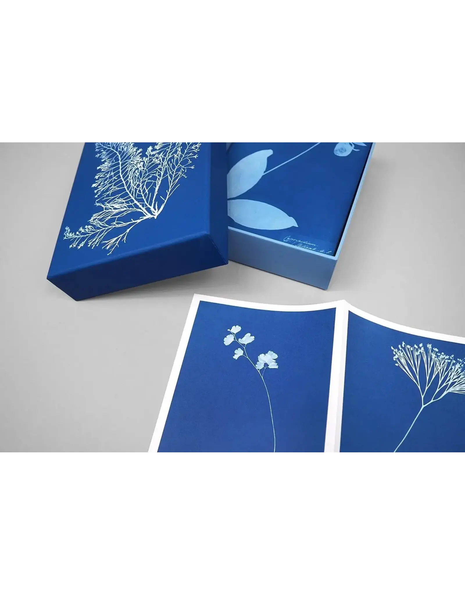 chronicle books Sunprint Notecards