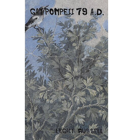 Gay Pompeii 7.9. AD by Legacy Russell