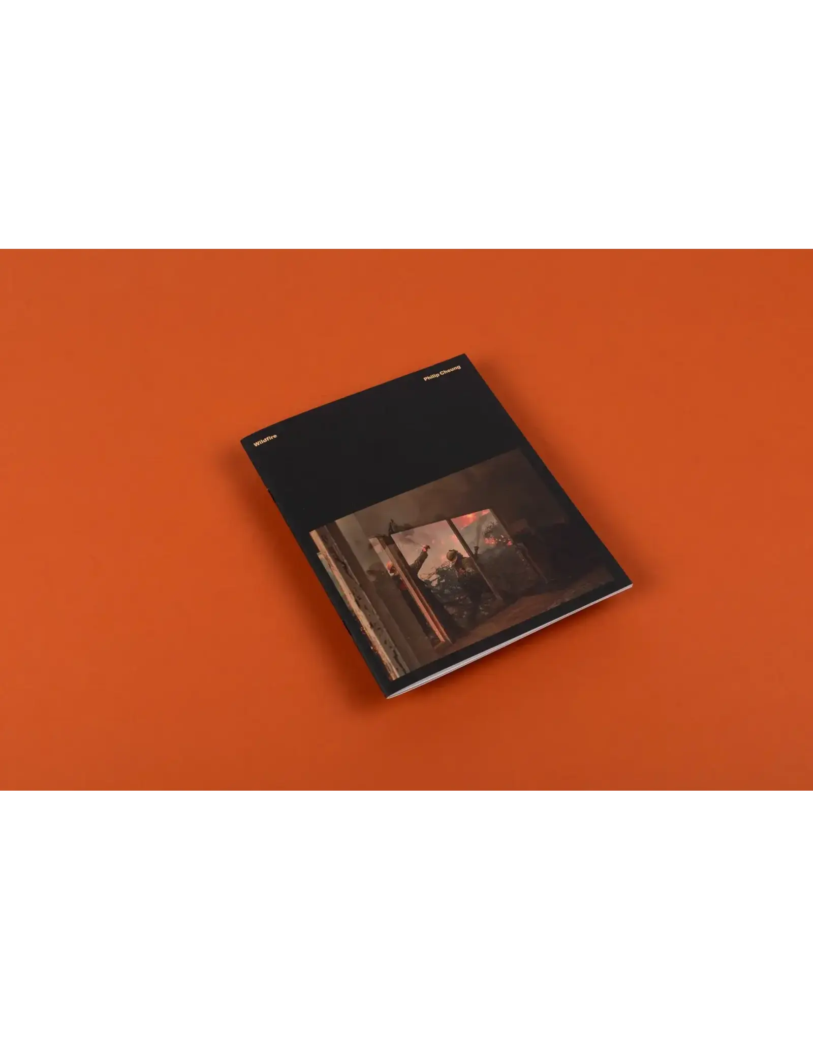 Philip Cheung: Wildfire