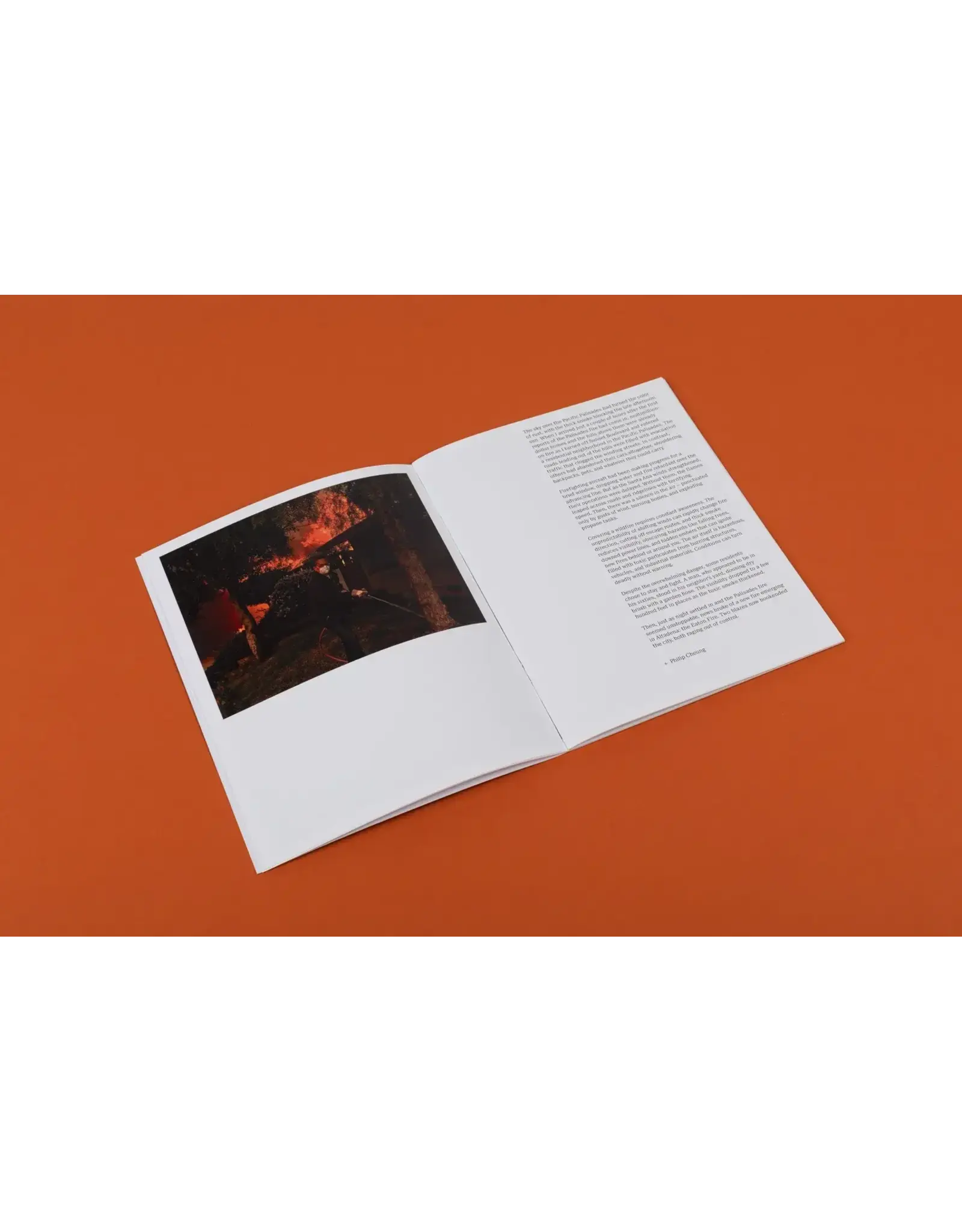 Philip Cheung: Wildfire