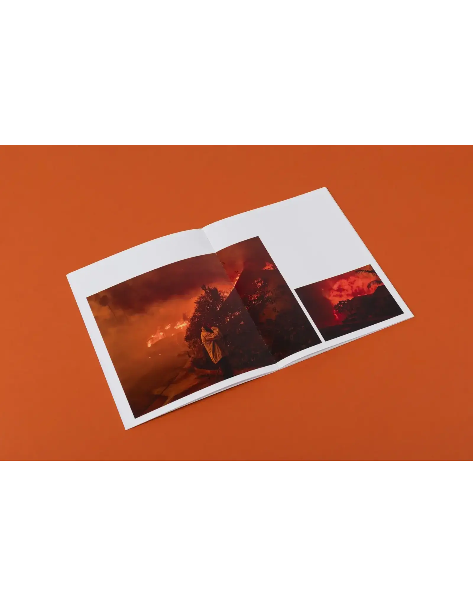 Philip Cheung: Wildfire